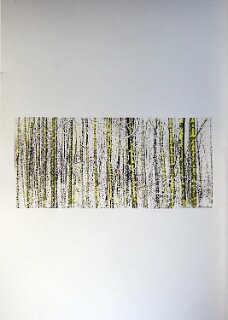 Waldbaden IV_Lithografie coloriert-Pigment_b 70 x h 50 cm null