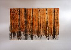 Hörauf Jürgen_Waldbaden VIII_Lithografie coloriert-Pirgment_b 70 x h 50 cm_250 euro null