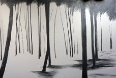 Waldbaden VII_Graphit auf Finnpappe_b 100x h 70 cm null