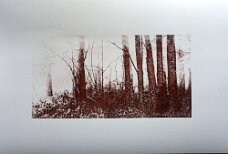 Waldbaden X_Lithografie_b 70 x h 50 cm null
